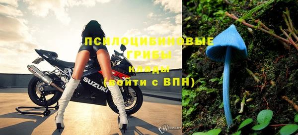 ALPHA PVP Алексин