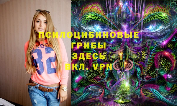 прущая мука Алзамай