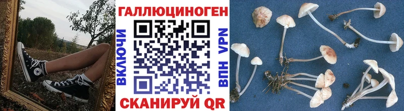 наркошоп Калтан Галлюциногенные грибы GOLDEN TEACHER