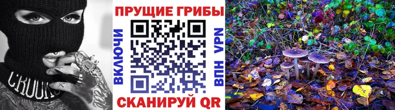 Галлюциногенные грибы мицелий Калтан