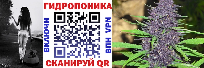 Бошки марихуана SATIVA & INDICA Калтан